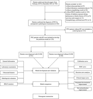 A comprehensive prediction model for central lymph node metastasis in papillary thyroid carcinoma with Hashimoto’s thyroiditis: BRAF may not be a valuable predictor